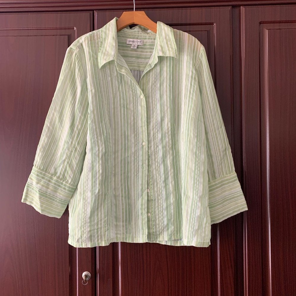 Coldwater Creek Green Striped Button Down
